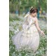 Urtto Moonlight Dance Ballet Style Long JSK(Reservation/Full Payment Without Shipping)